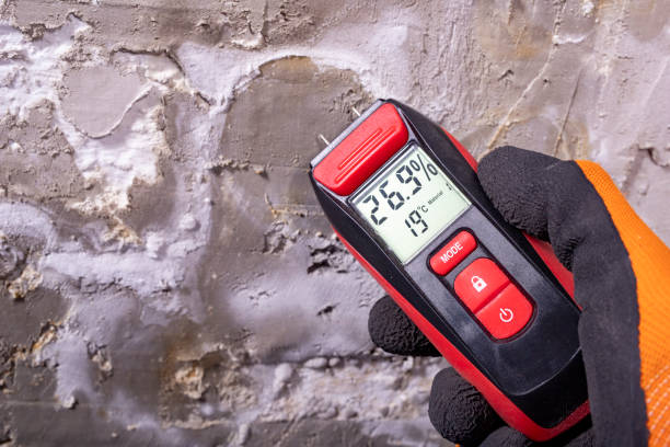 Professional Mold Removal in Audubon, NJ