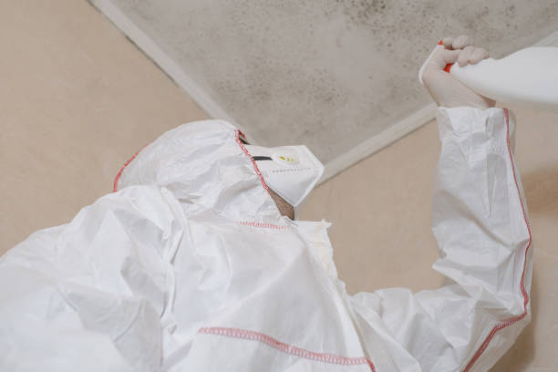 Best Professional Mold Removal  in Audubon, NJ