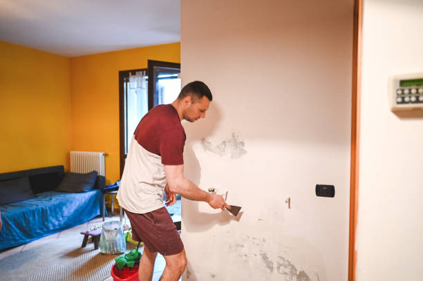 Best Mold Removal Company Near Me  in Audubon, NJ